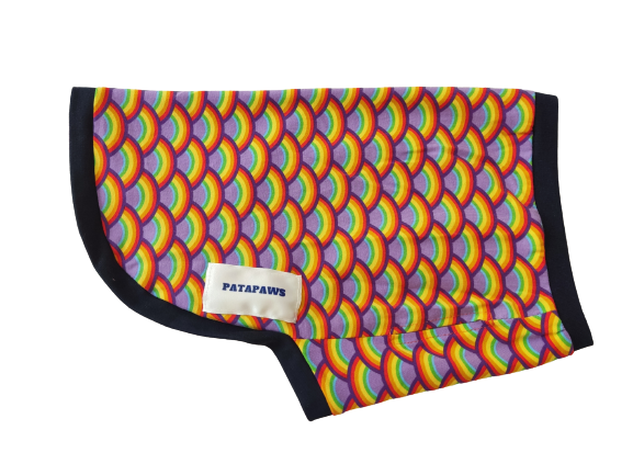 Sea Shell Design With Navy Ribbing (Lightweight)