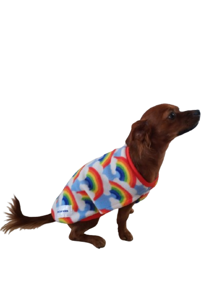 Sleeveless Rainbow Fleece Dog Coat