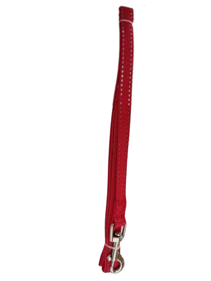 Plain Red  Dog Lead