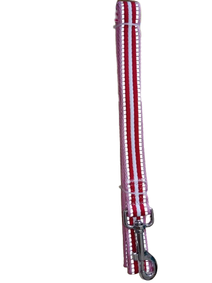 Striped Dog Lead