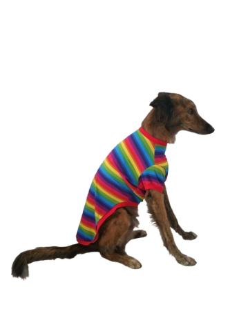 Short Sleeve (Capped) Rainbow Design
