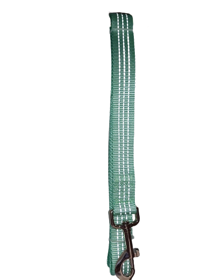 Mint Green Dog Lead
