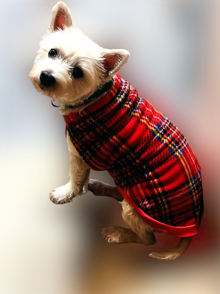 Red Tartan Fleece Dog Coat (Pattern One)