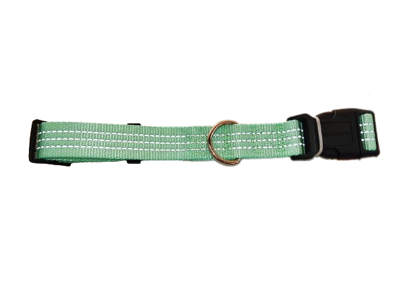 Mint Green Dog Collar With Reflective Effect