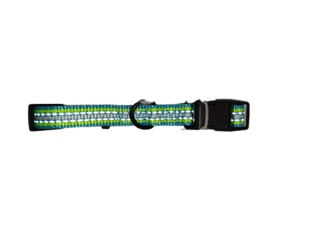Bright Green and Blue Dog Collar With Reflective Effect