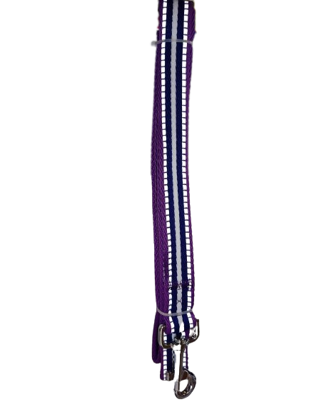 Striped Purple  Dog Lead